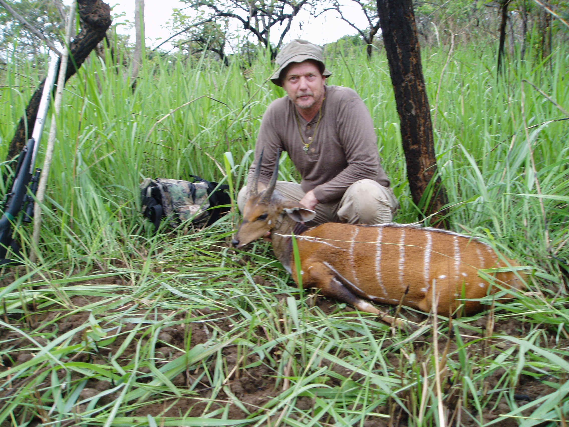 bushbuck3.JPG (915082 bytes)